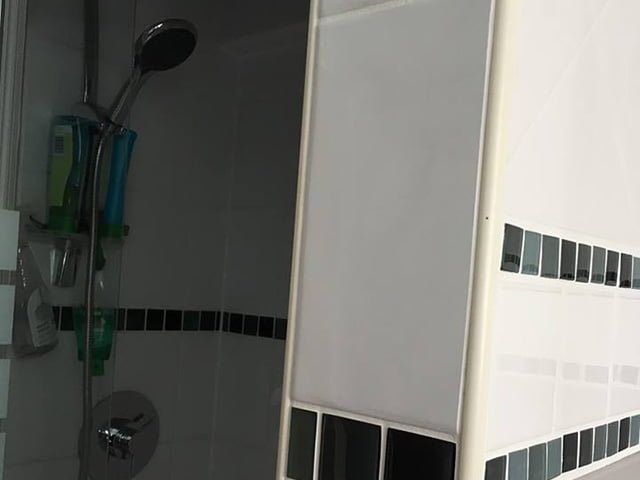 Before Photo of Dark Shower with White & Black Tiles